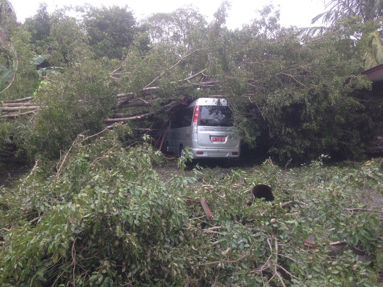 Mobil Dinas Pemko Pekanbaru Rusak Ditimpa Pohon