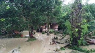 Akibat Hujan Deras, 300 Rumah di Kuansing Direndam Banjir