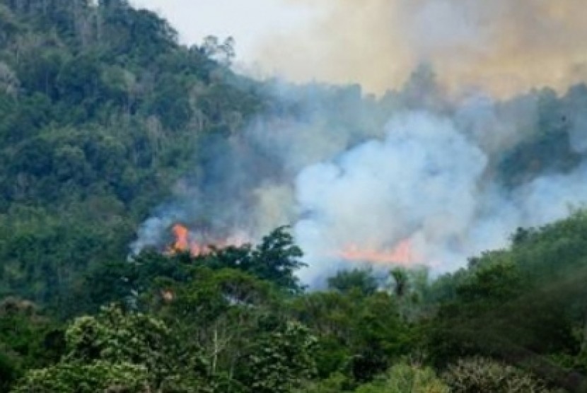 Jumlah Hotspot di Riau Hari Ini Berkurang