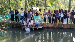 Karang taruna melepaskan bibit Ikan nila Bersama camat Hulu Kuantan