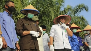 Kontrak Farming Penanaman Padi PT. SPM bersama UPJA Bina Karya